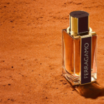 salvatore-ferragamo-spicy-leather-apa-de-parfum-barbati-100ml-parfum-301864-1-c17.png