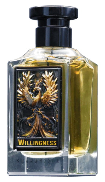 Shamanique Willingness Extrait de Parfum Unisex 100ml Parfum